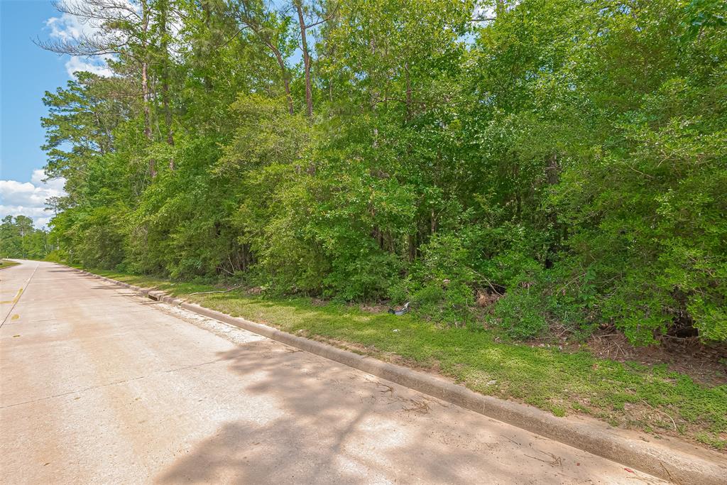 Fm 2100 Drive, Huffman, Texas image 18