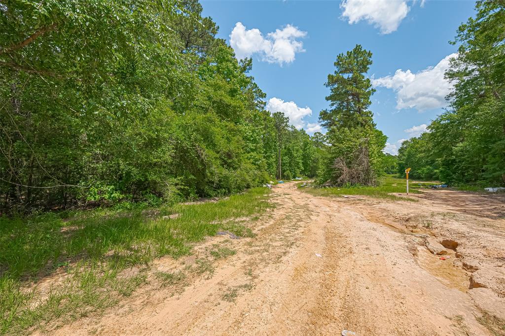 Fm 2100 Drive, Huffman, Texas image 17
