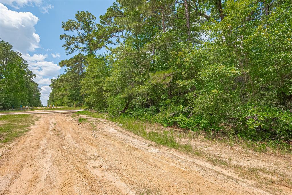 Fm 2100 Drive, Huffman, Texas image 24
