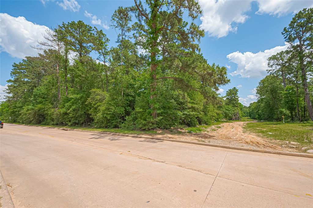 Fm 2100 Drive, Huffman, Texas image 22