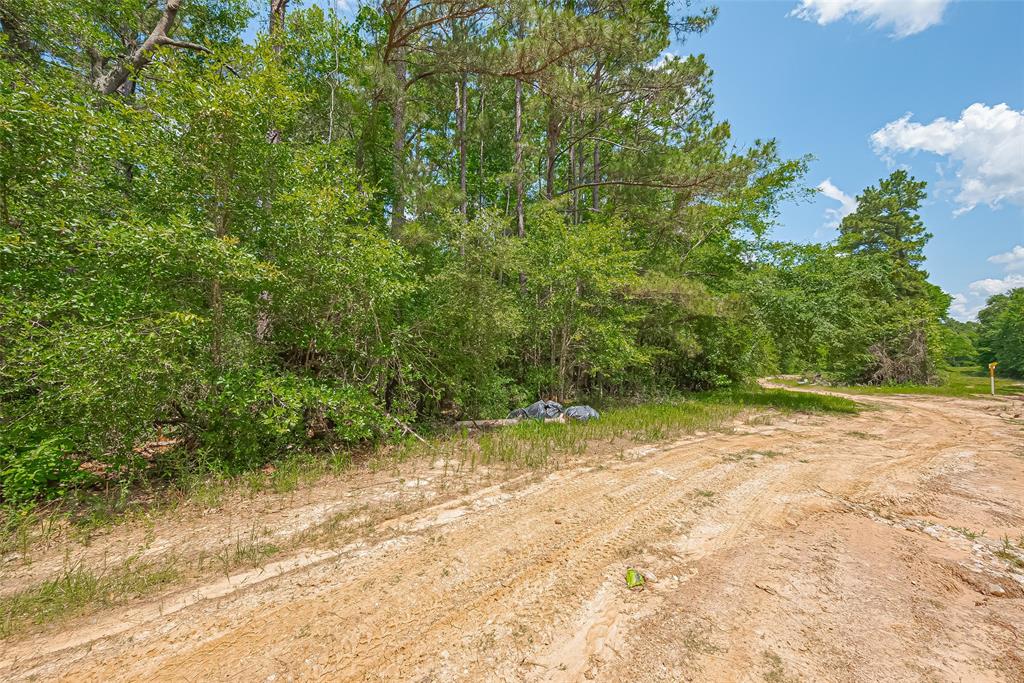 Fm 2100 Drive, Huffman, Texas image 23