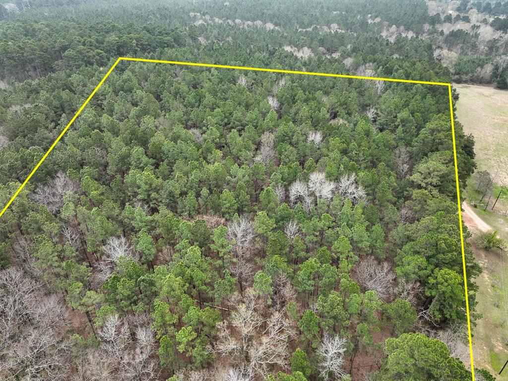TBD Cr 4811, Troup, Texas image 1