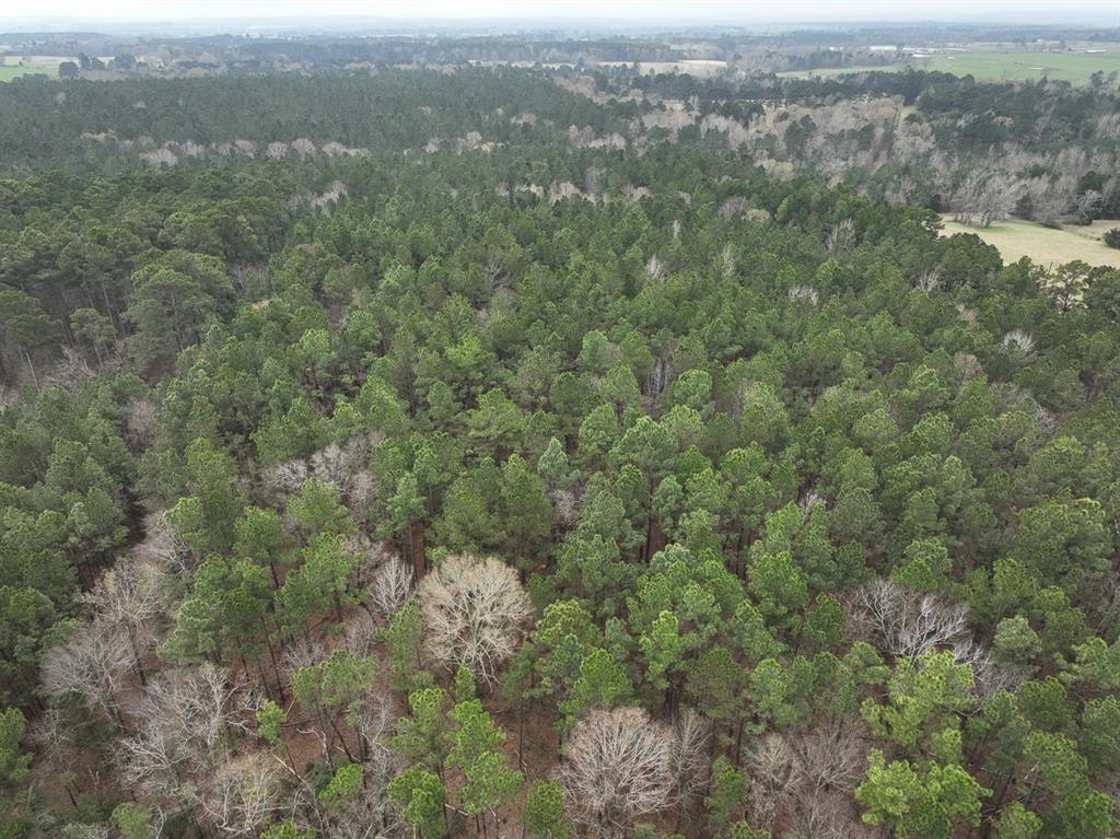 TBD Cr 4811, Troup, Texas image 2