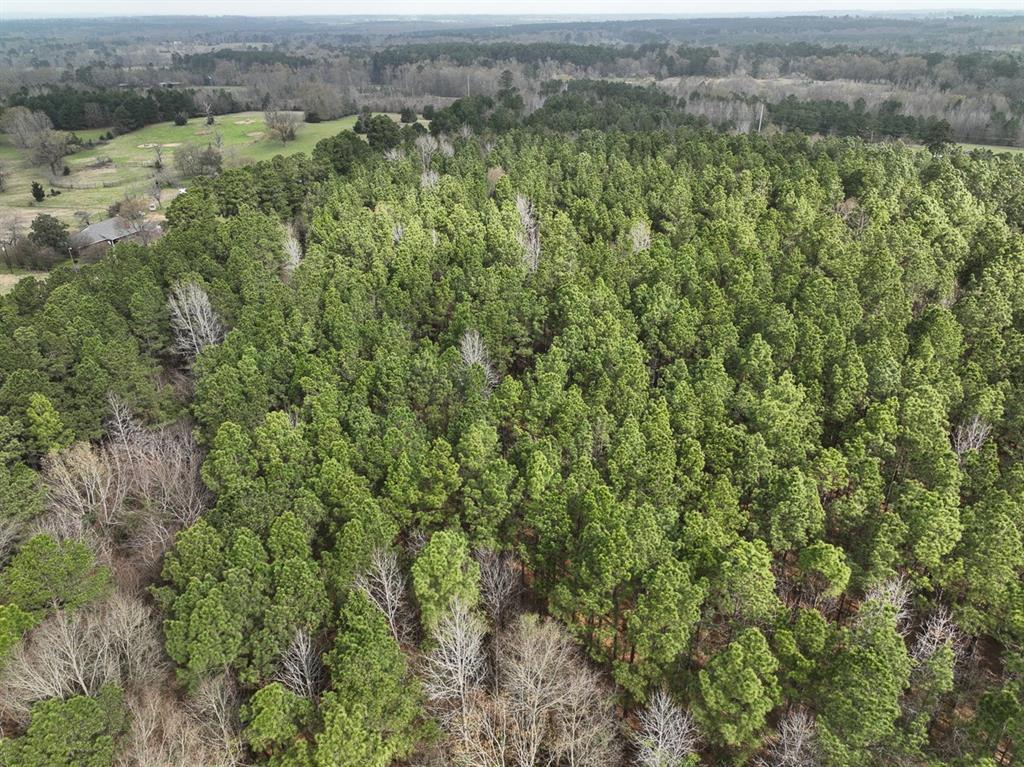 TBD Cr 4811, Troup, Texas image 7