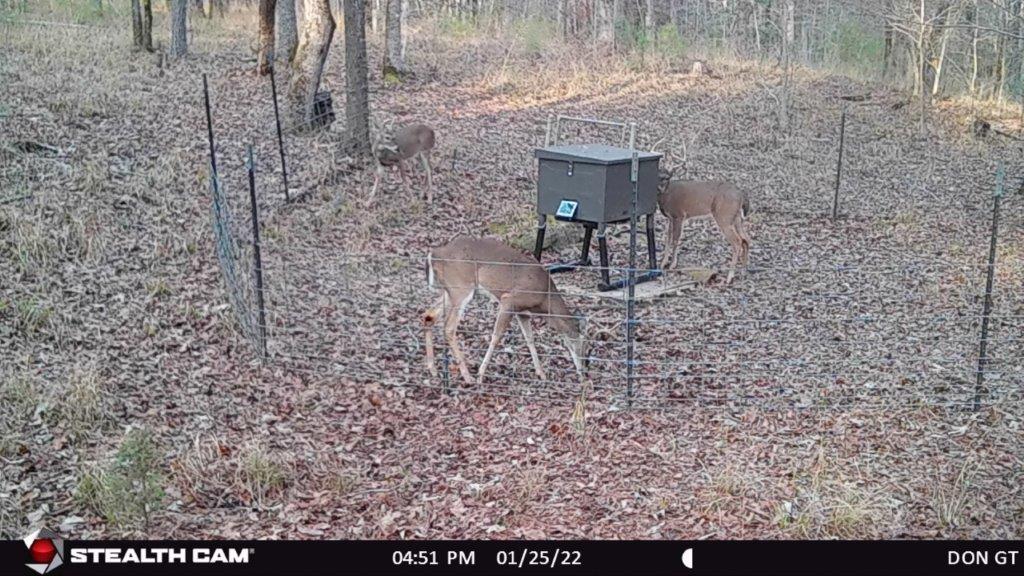 629 Anderson County Road 1215, Grapeland, Texas image 31