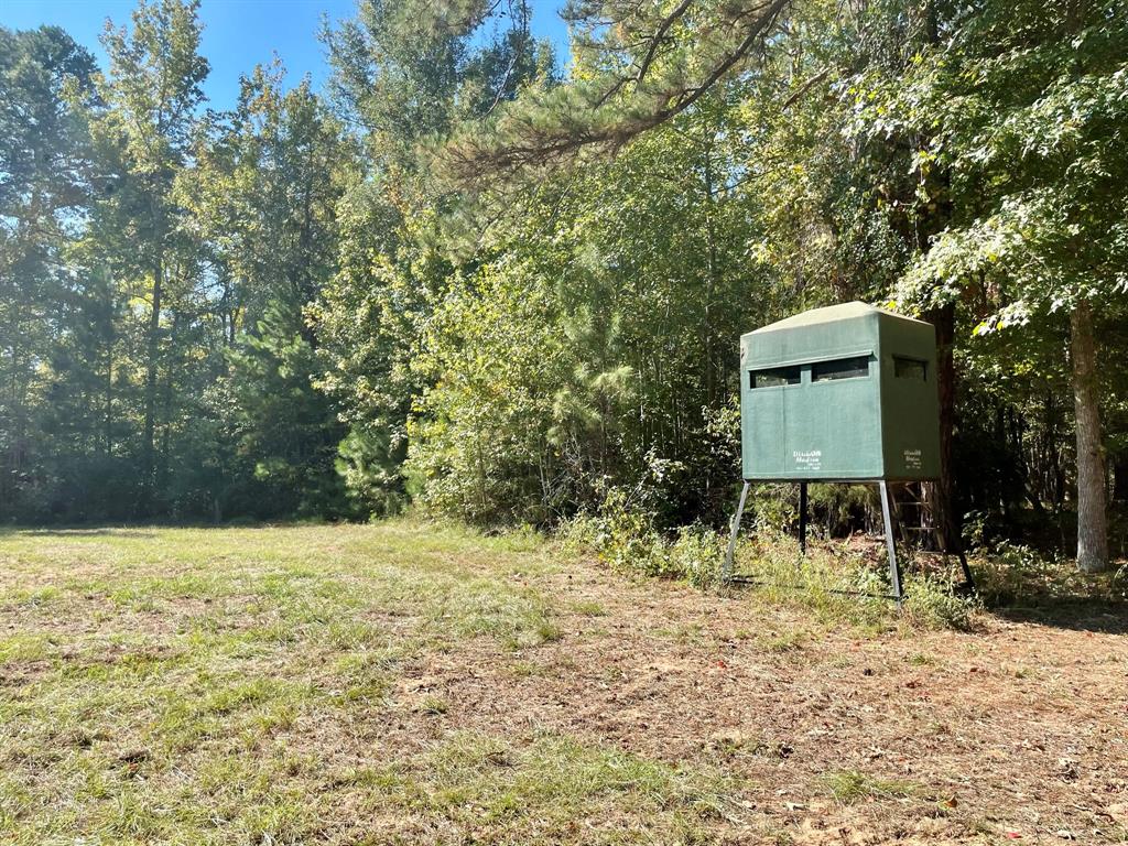 629 Anderson County Road 1215, Grapeland, Texas image 34