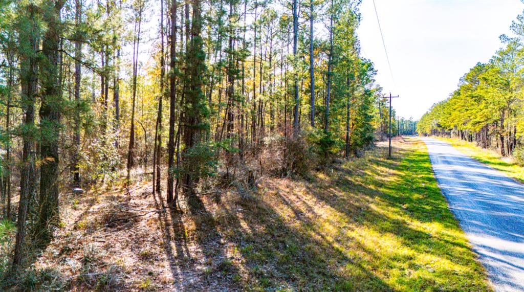 3484 Fm 3459 Phase 3 Lot 8, Onalaska, Texas image 6