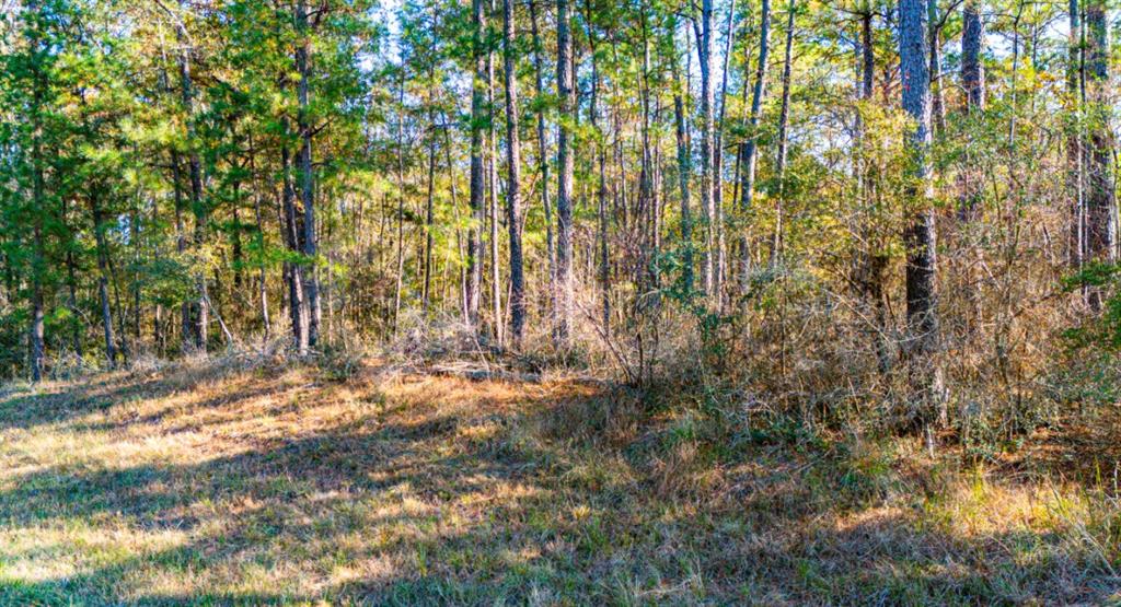 3484 Fm 3459 Phase 3 Lot 8, Onalaska, Texas image 3