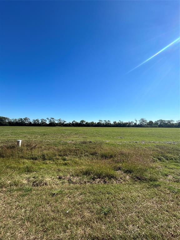 000 Brahman Trail, Angleton, Texas image 2