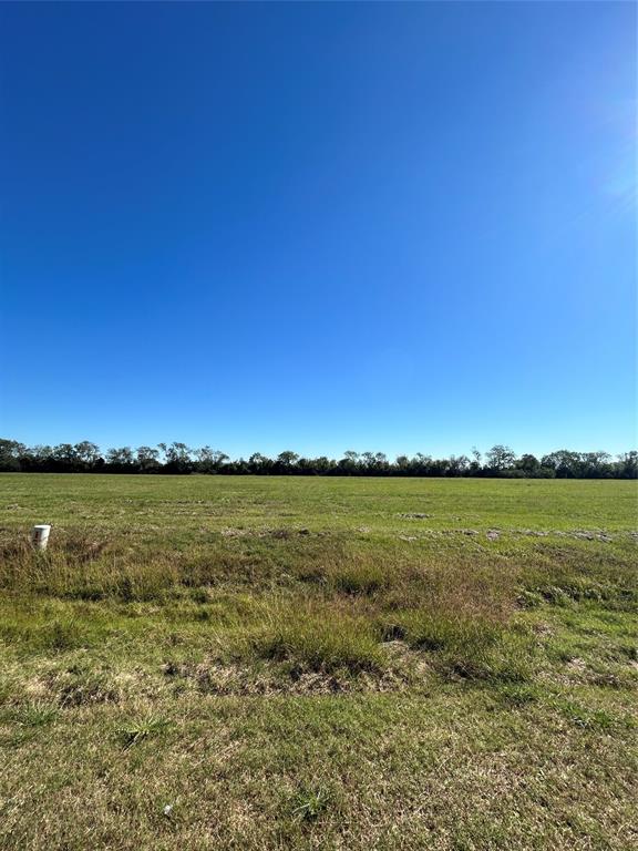 000 Brahman Trail, Angleton, Texas image 6