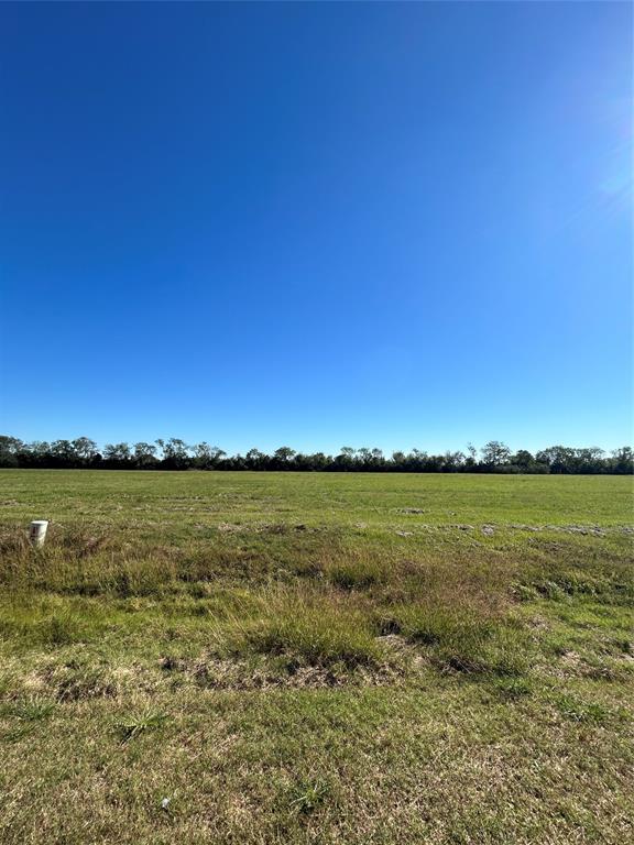 000 Brahman Trail, Angleton, Texas image 5