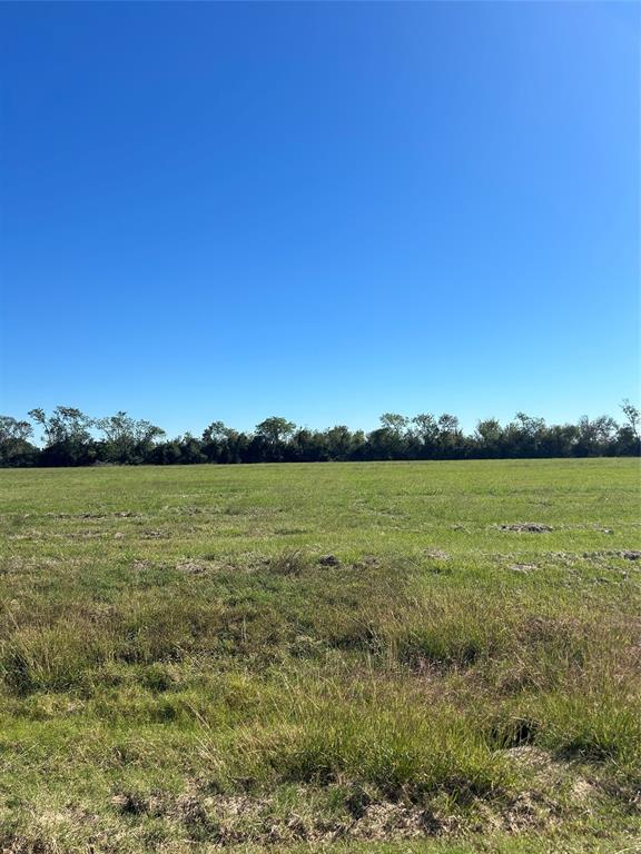 000 Brahman Trail, Angleton, Texas image 1