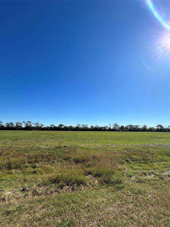 000 Brahman Trail, Angleton, Texas image 3