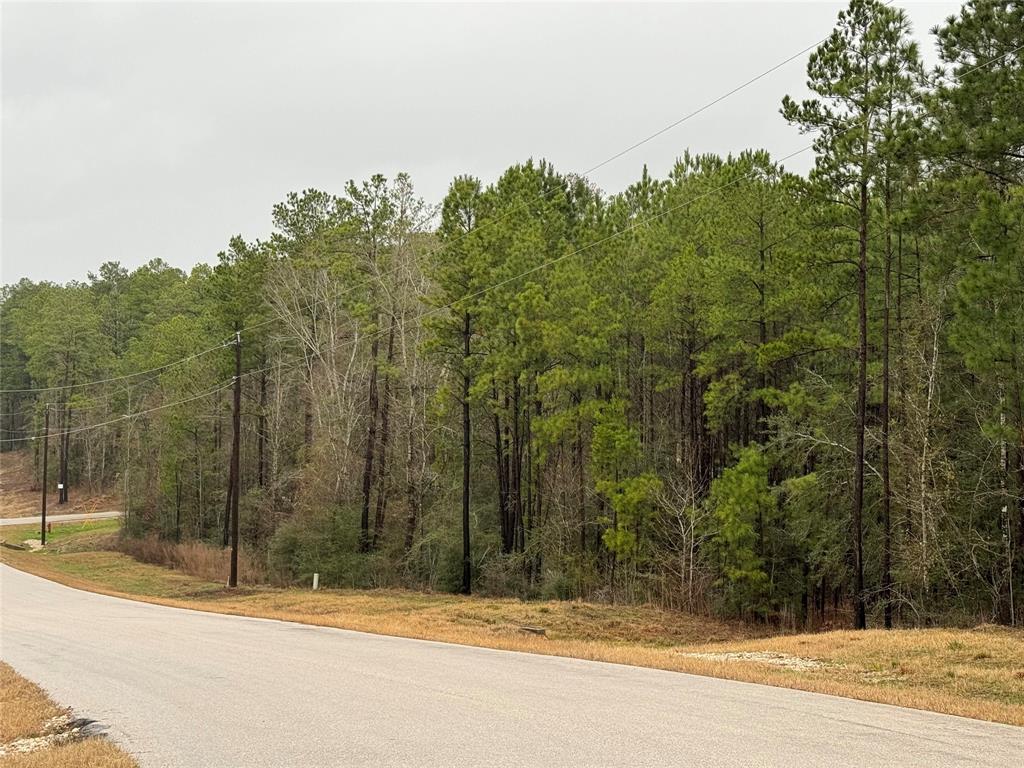 11-24-77 Tranquil Lane, Huntsville, Texas image 8