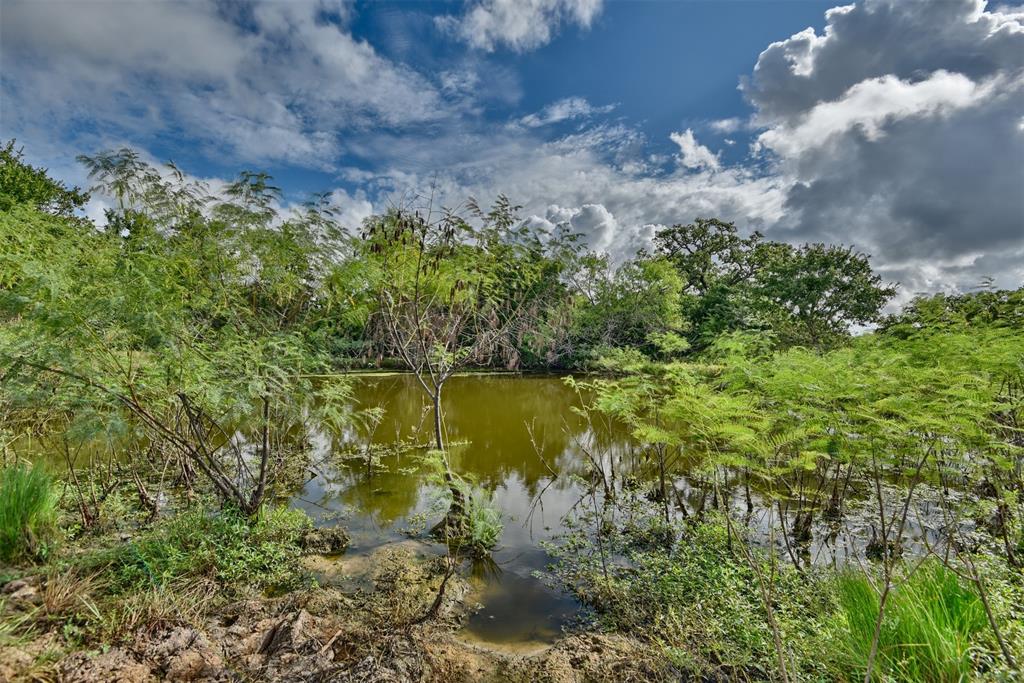 TBD W Magnolia Drive, Lyons, Texas image 13