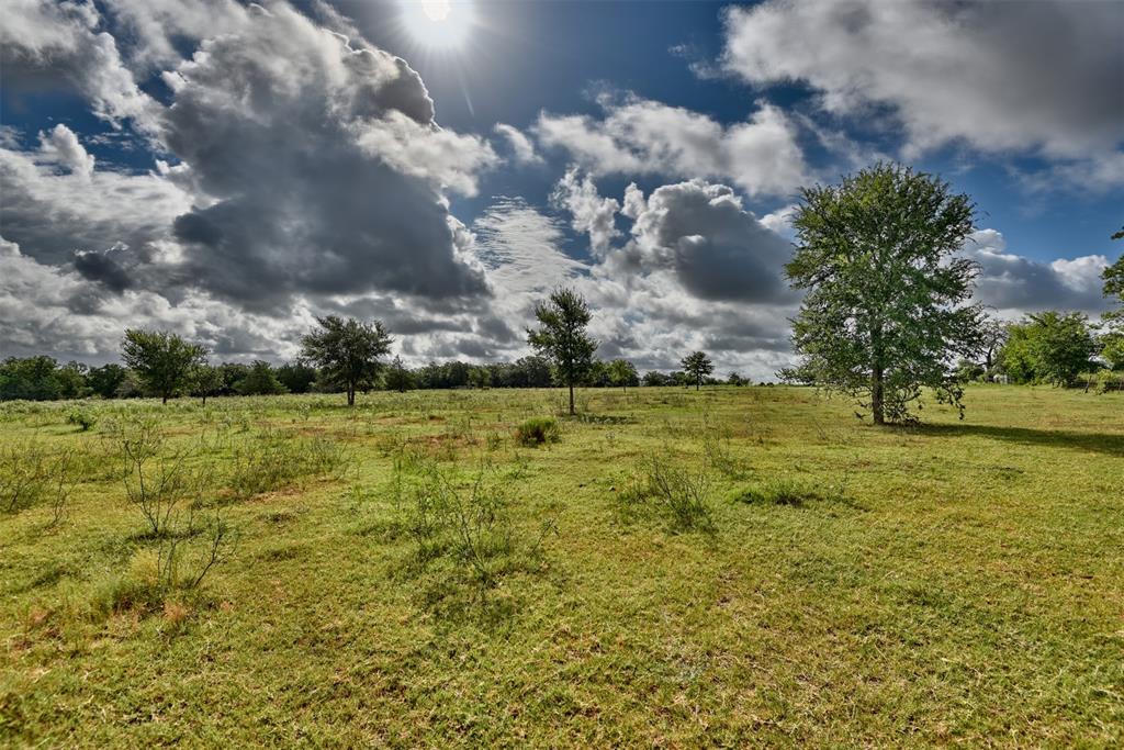 TBD W Magnolia Drive, Lyons, Texas image 6