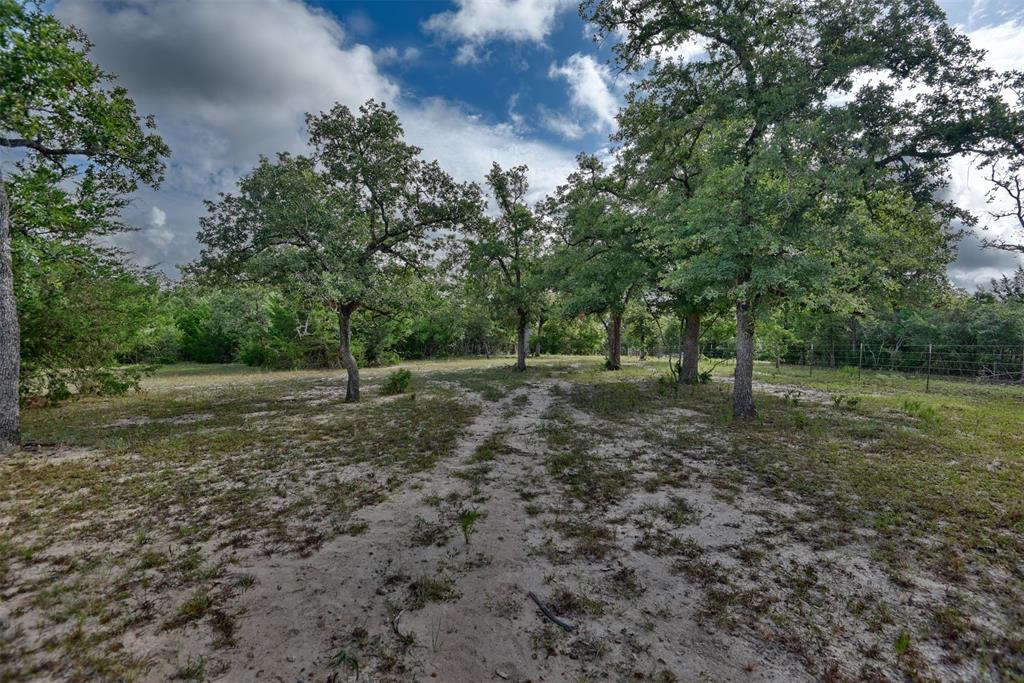 TBD W Magnolia Drive, Lyons, Texas image 11