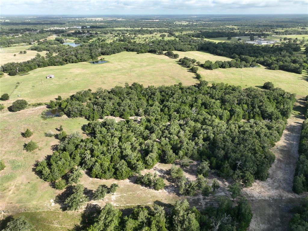 TBD W Magnolia Drive, Lyons, Texas image 3