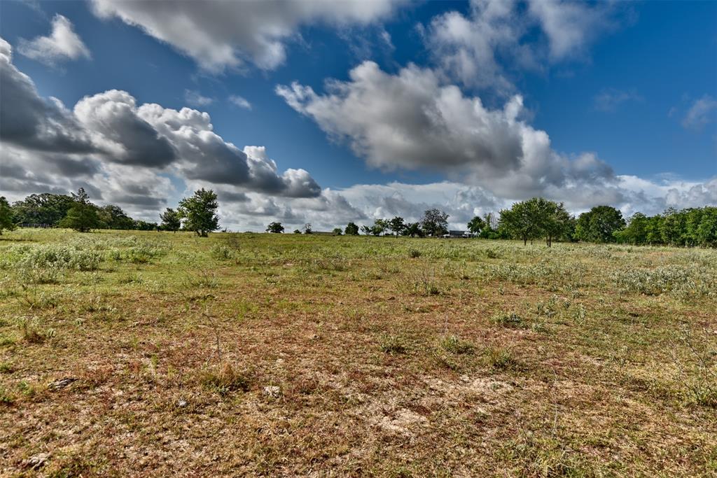 TBD W Magnolia Drive, Lyons, Texas image 10