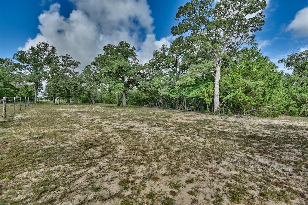 TBD W Magnolia Drive, Lyons, Texas image 9