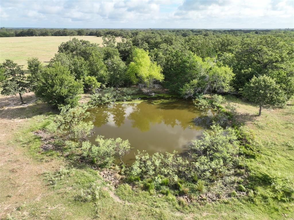 TBD W Magnolia Drive, Lyons, Texas image 15