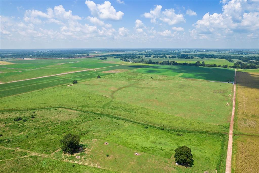 TBD County Road 327, Navasota, Texas image 12