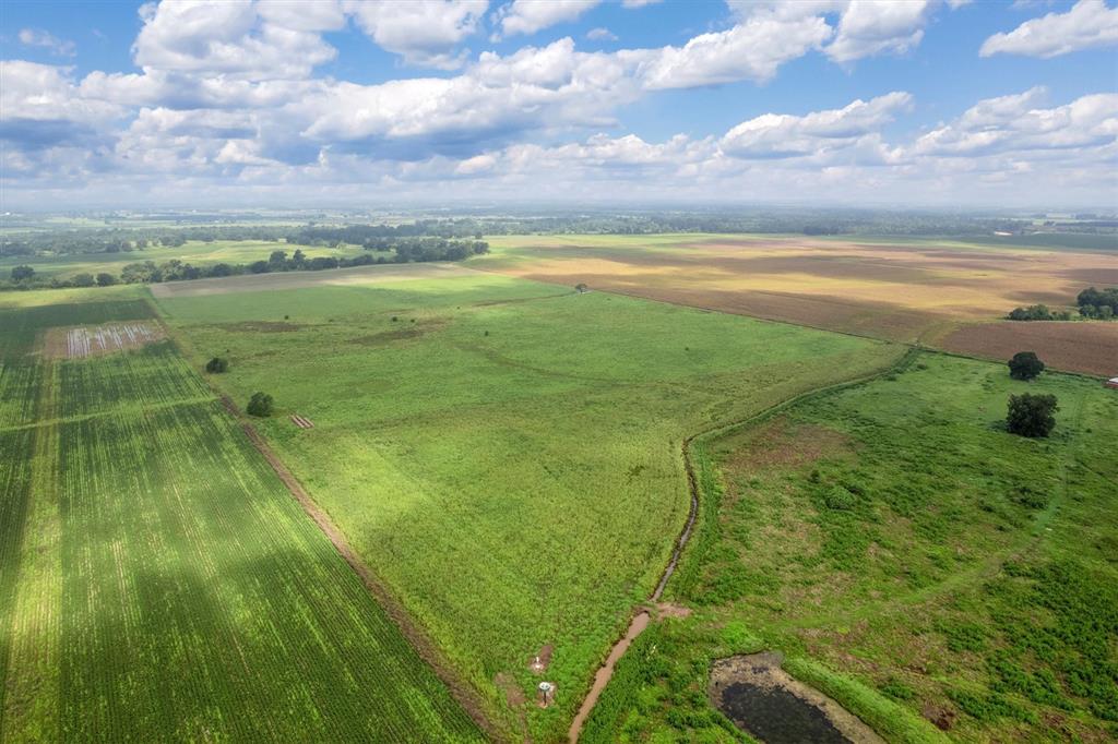 TBD County Road 327, Navasota, Texas image 16