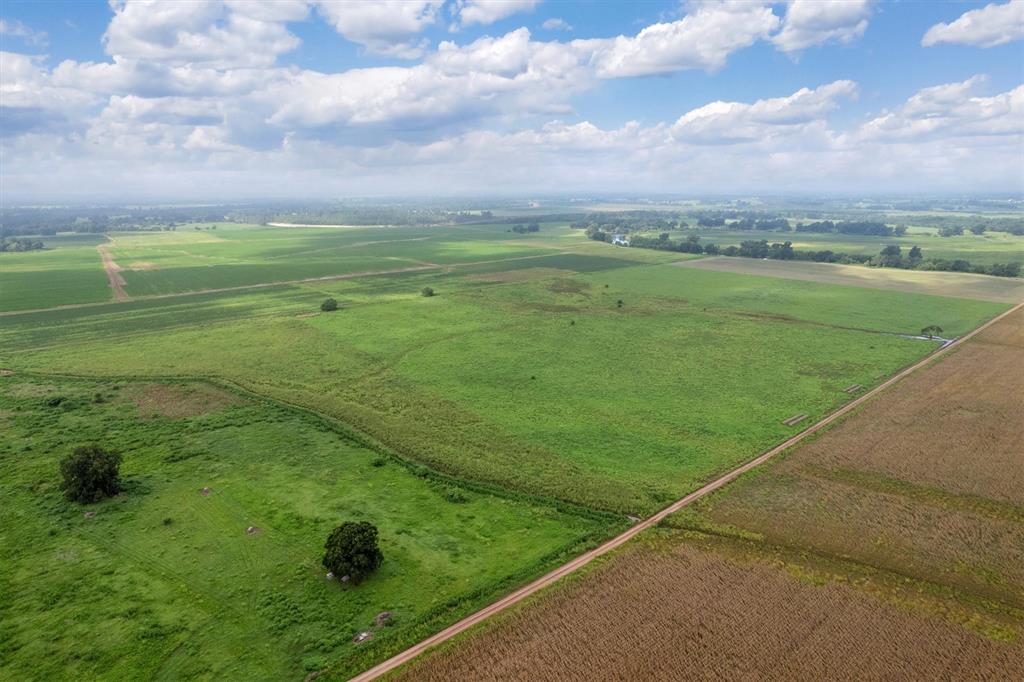 TBD County Road 327, Navasota, Texas image 14