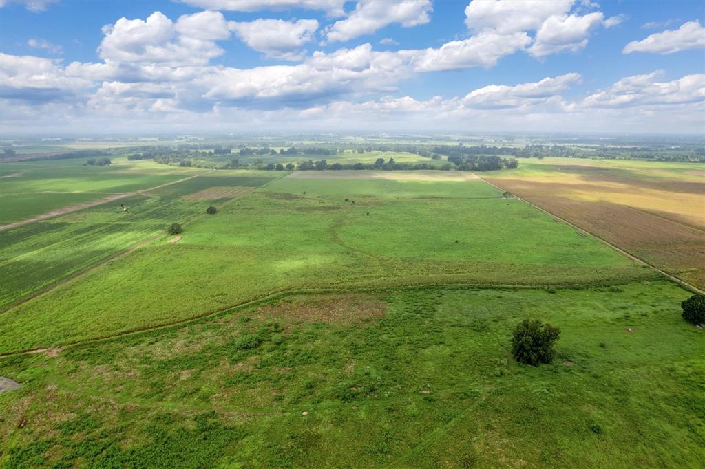 TBD County Road 327, Navasota, Texas image 4