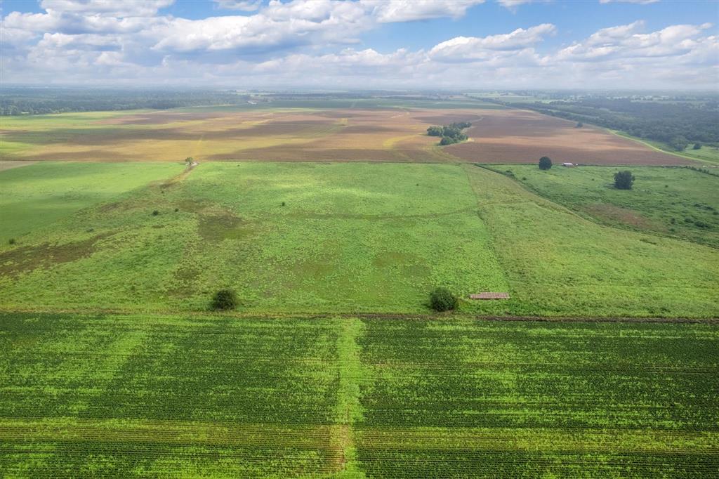 TBD County Road 327, Navasota, Texas image 2