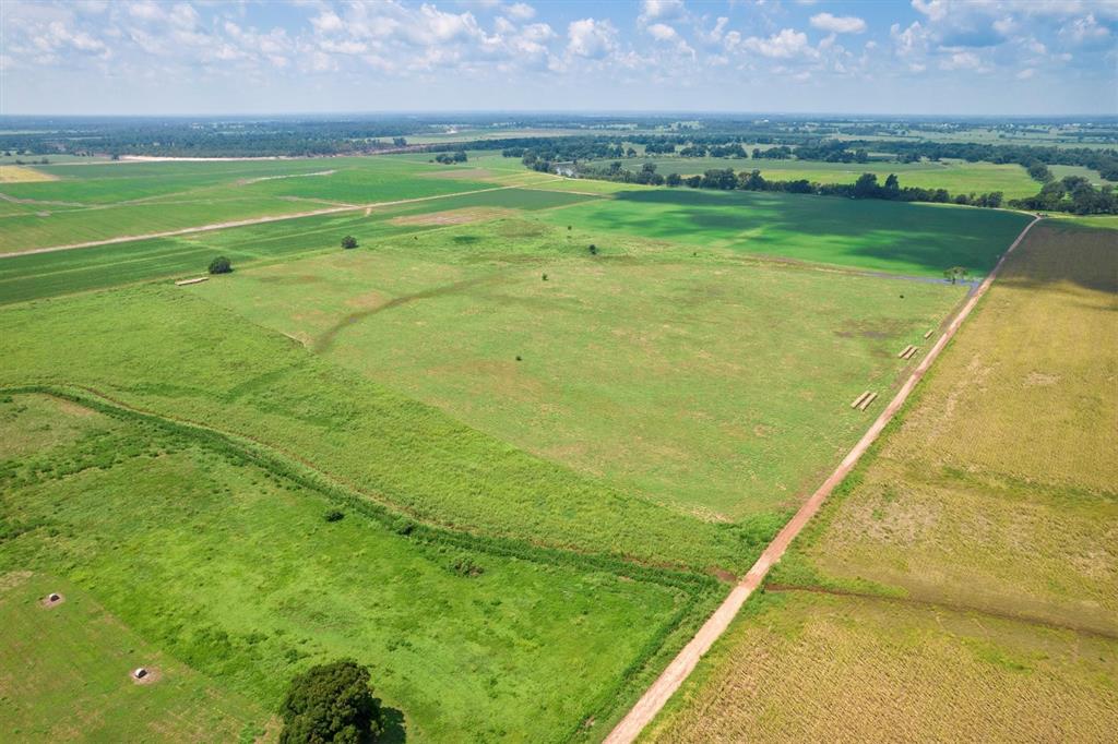 TBD County Road 327, Navasota, Texas image 10