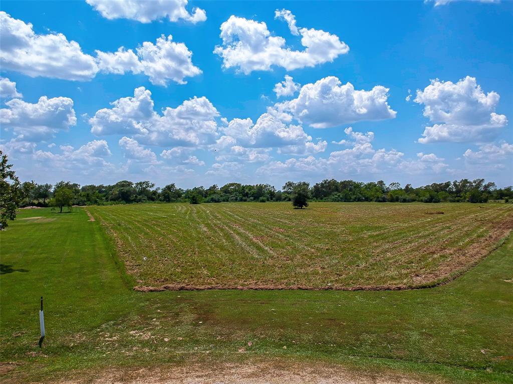 33369 Black Falcon Court, Waller, Texas image 4