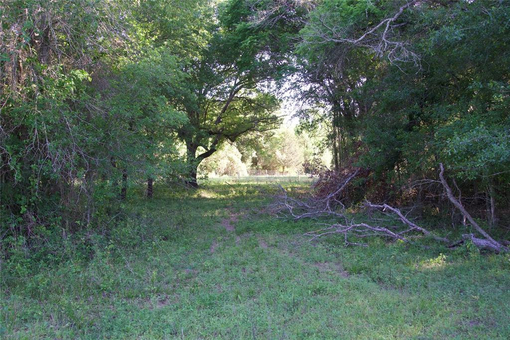 TBD Tract 7 St Delight Road, Paige, Texas image 4