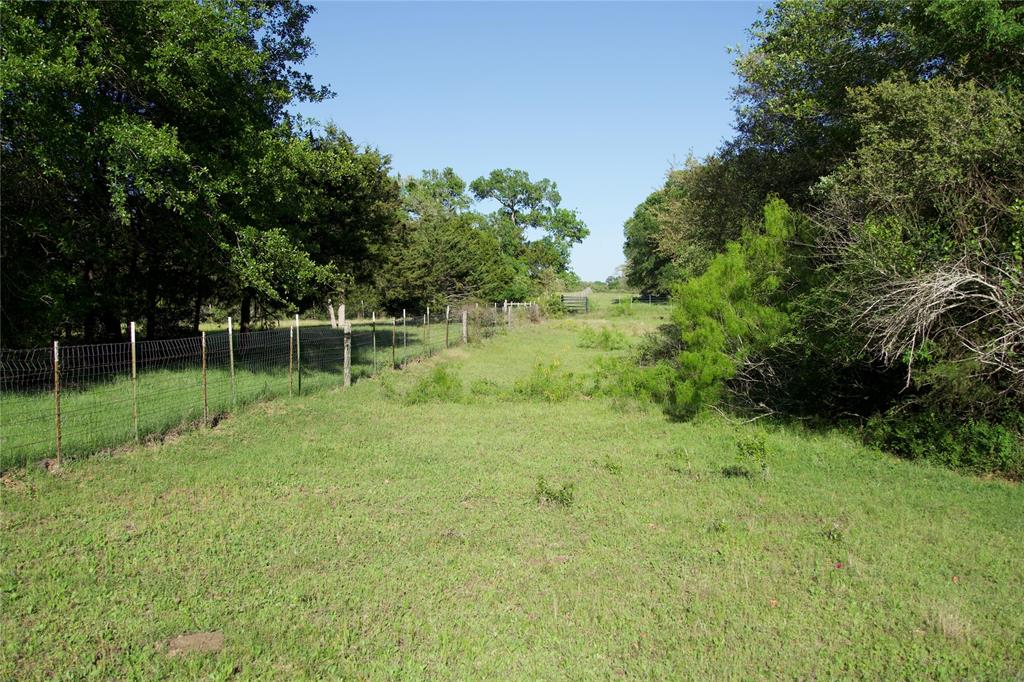 TBD Tract 7 St Delight Road, Paige, Texas image 5