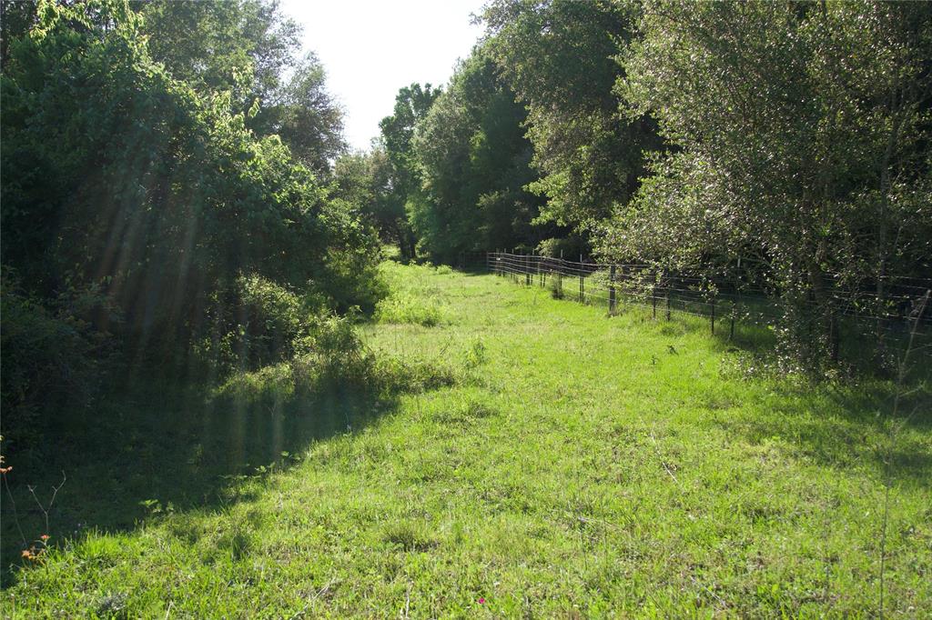 TBD Tract 7 St Delight Road, Paige, Texas image 11