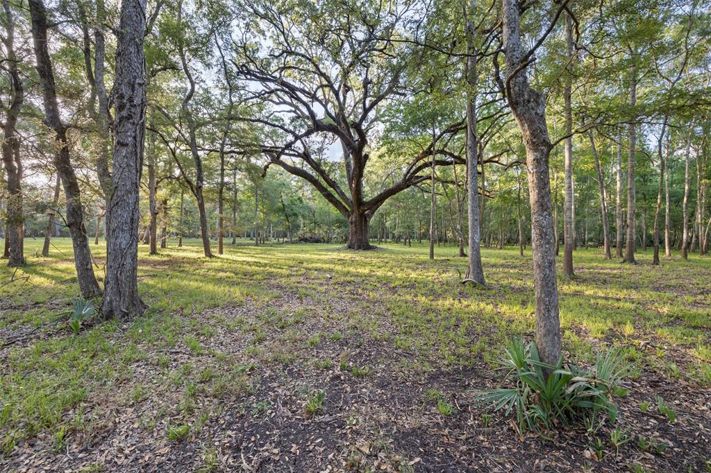 Fm 521 Road, Brazoria, Texas image 8