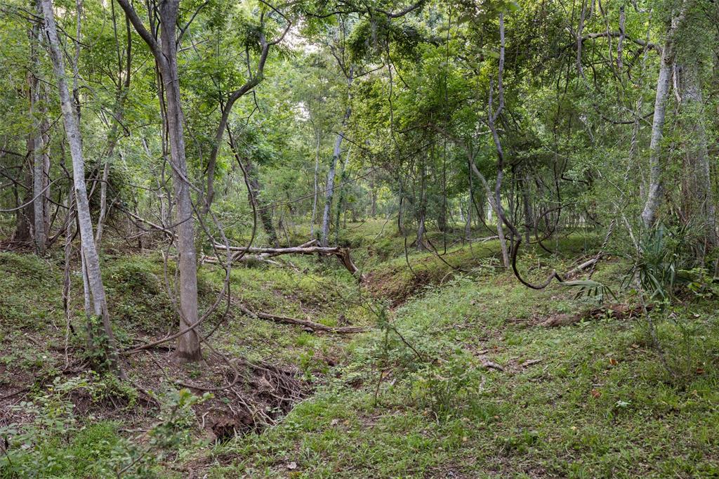 Fm 521 Road, Brazoria, Texas image 10