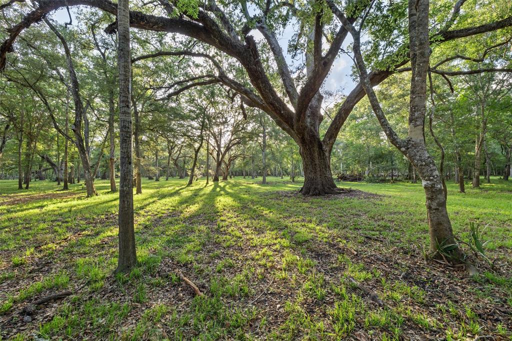 Fm 521 Road, Brazoria, Texas image 3