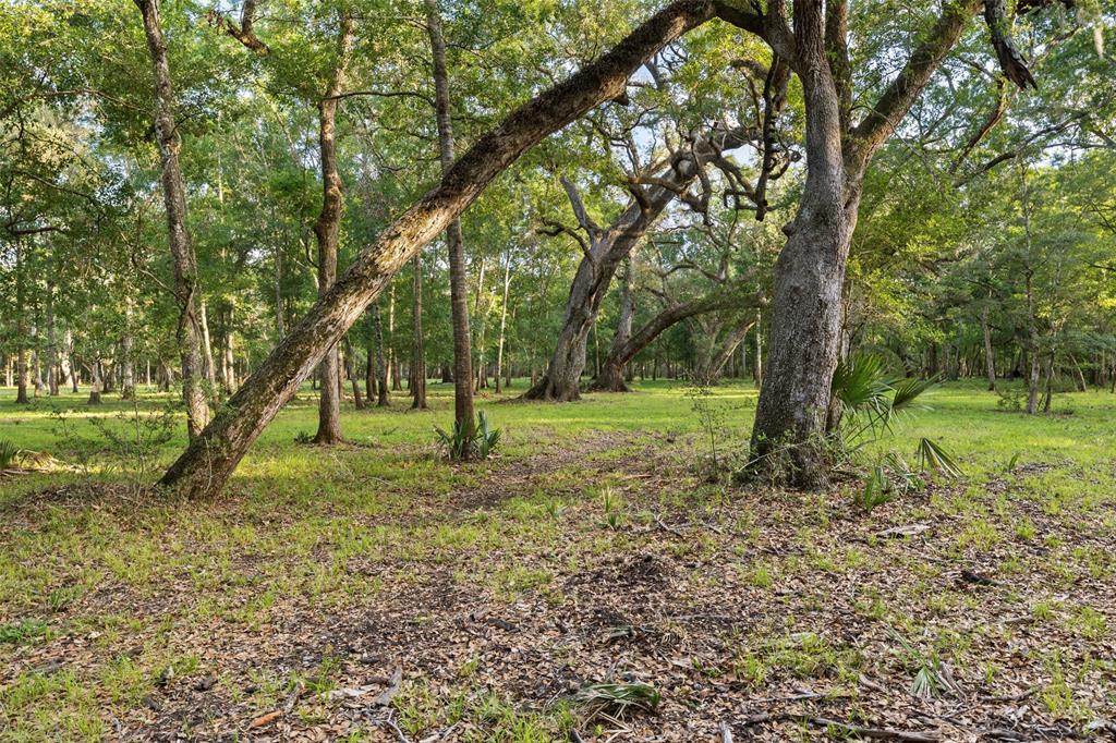 Fm 521 Road, Brazoria, Texas image 7