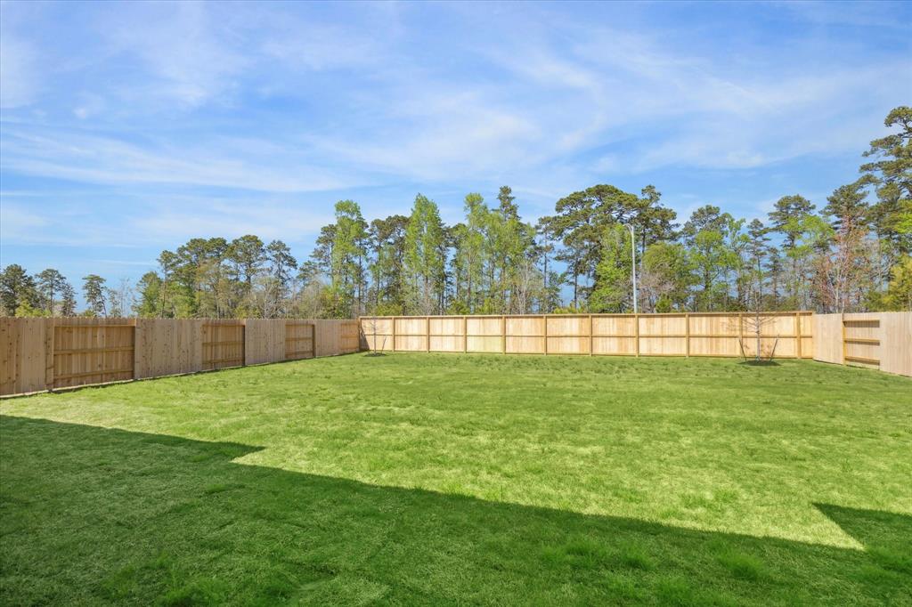 506 Pinabete Forest Ct Court, Conroe, Texas image 8