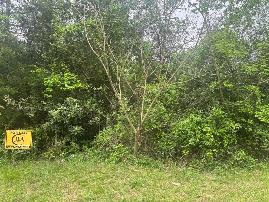 TBD Debbies Boulevard, Livingston, Texas image 3