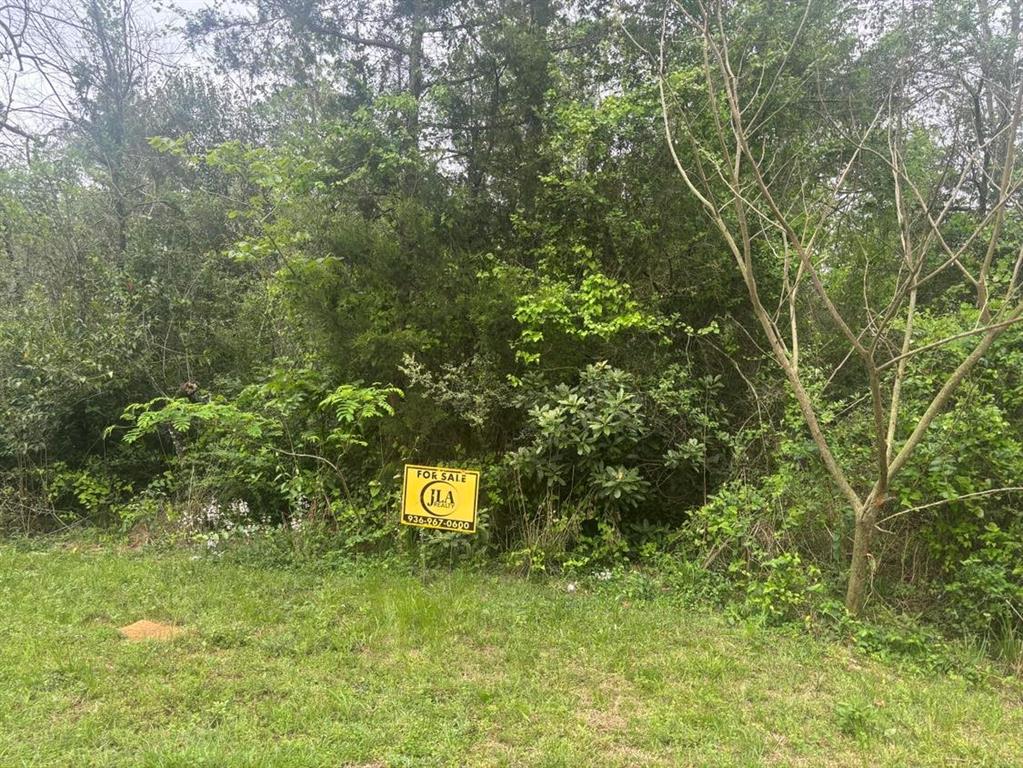 TBD Debbies Boulevard, Livingston, Texas image 2