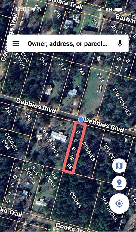 TBD Debbies Boulevard, Livingston, Texas image 1
