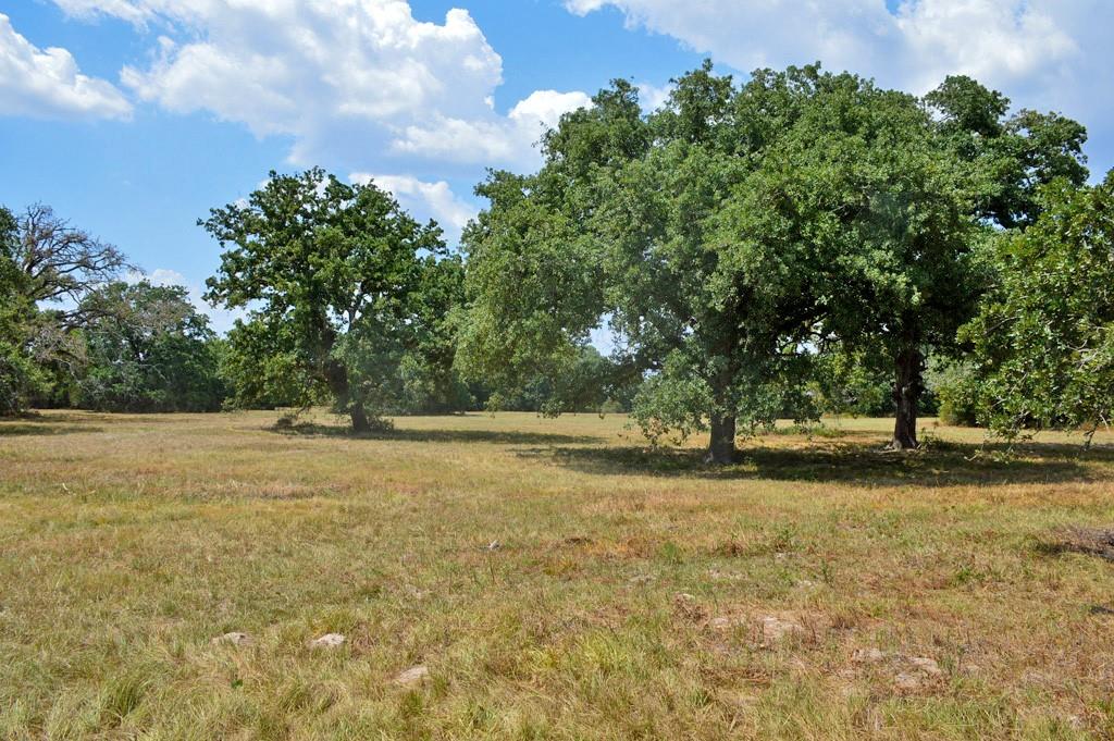 TBD 90 Fm 1227, Navasota, Texas image 24