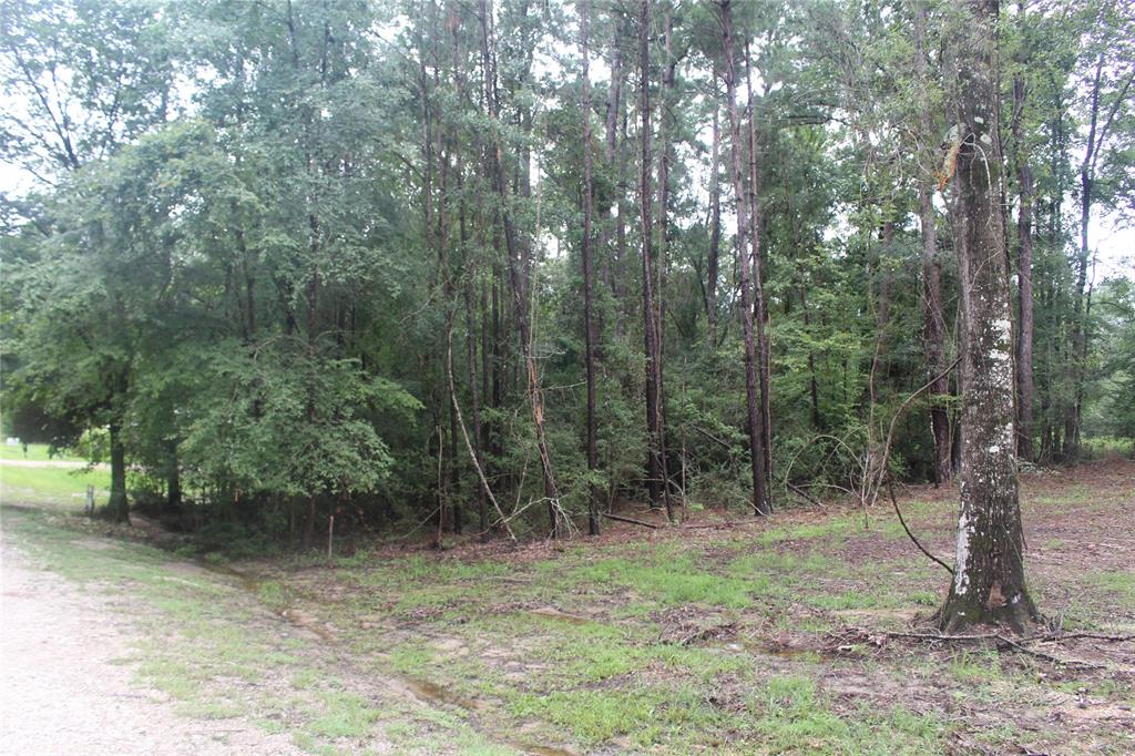 Lot 234 Medina Drive, Trinity, Texas image 7