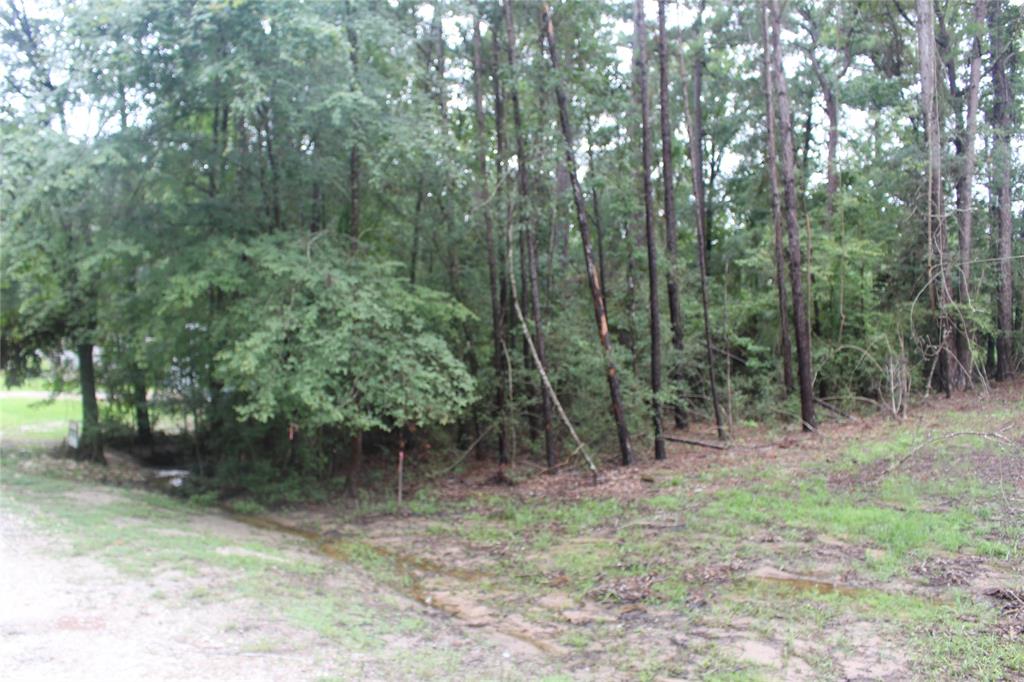 Lot 234 Medina Drive, Trinity, Texas image 2