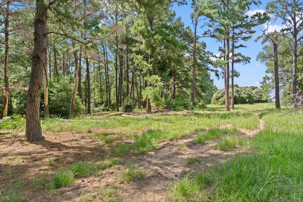 TBD (Tracts 11 & 12) St Delight Road