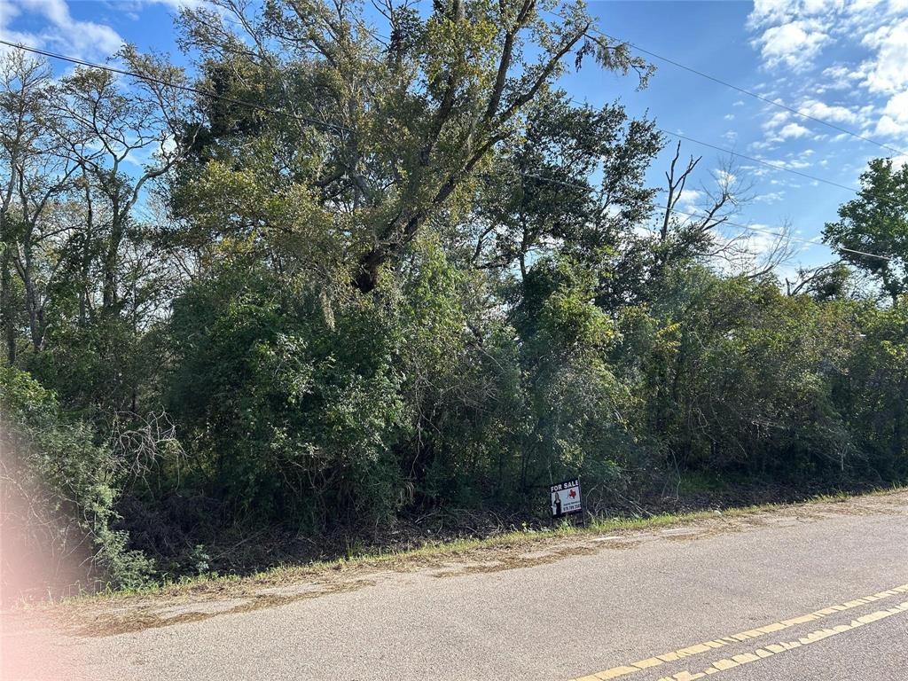 00 N Belt Street, Brazoria, Texas image 1