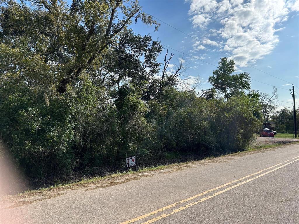 00 N Belt Street, Brazoria, Texas image 3