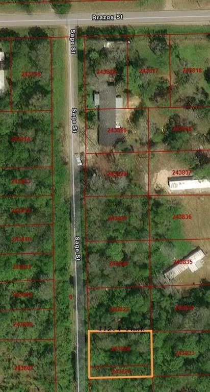 Sage St Street, Rosharon, Texas image 1